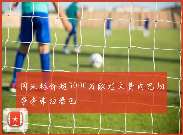国米标价超3000万欧尤文费内巴切争夺弗拉泰西