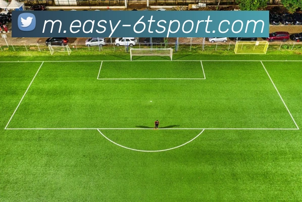 6T体育平台生态图