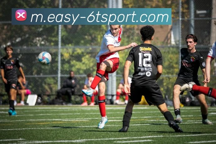 6T体育APP 封面图